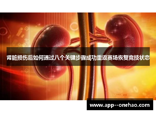 肾脏损伤后如何通过八个关键步骤成功重返赛场恢复竞技状态