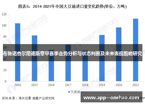 布鲁诺费尔南德斯意甲赛季走势分析与状态判断及未来表现前瞻研究